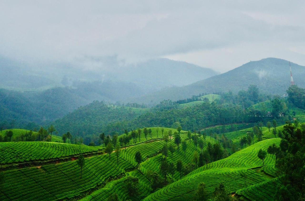Lockhart Bungalow Munnar - A Cgh Earth Saha Experience 外观 照片