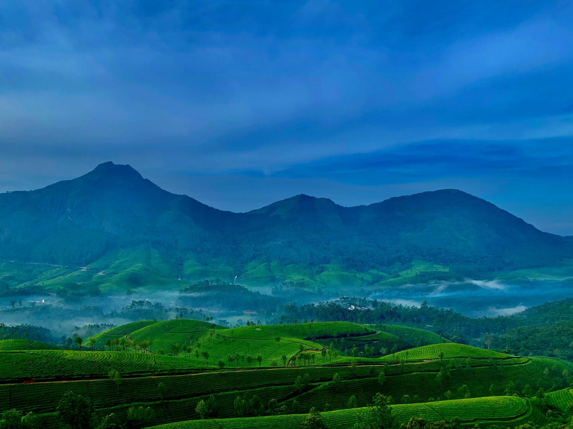 Lockhart Bungalow Munnar - A Cgh Earth Saha Experience 外观 照片