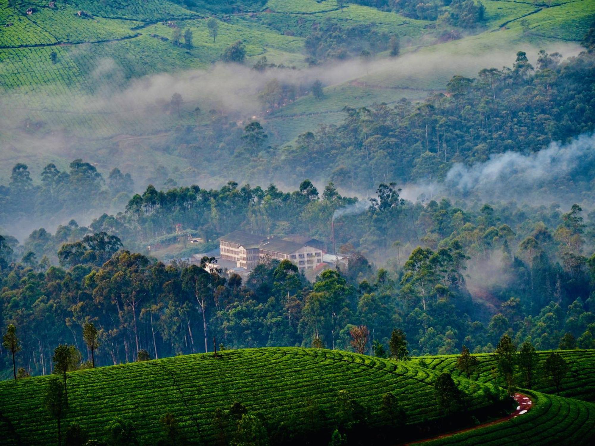 Lockhart Bungalow Munnar - A Cgh Earth Saha Experience 外观 照片