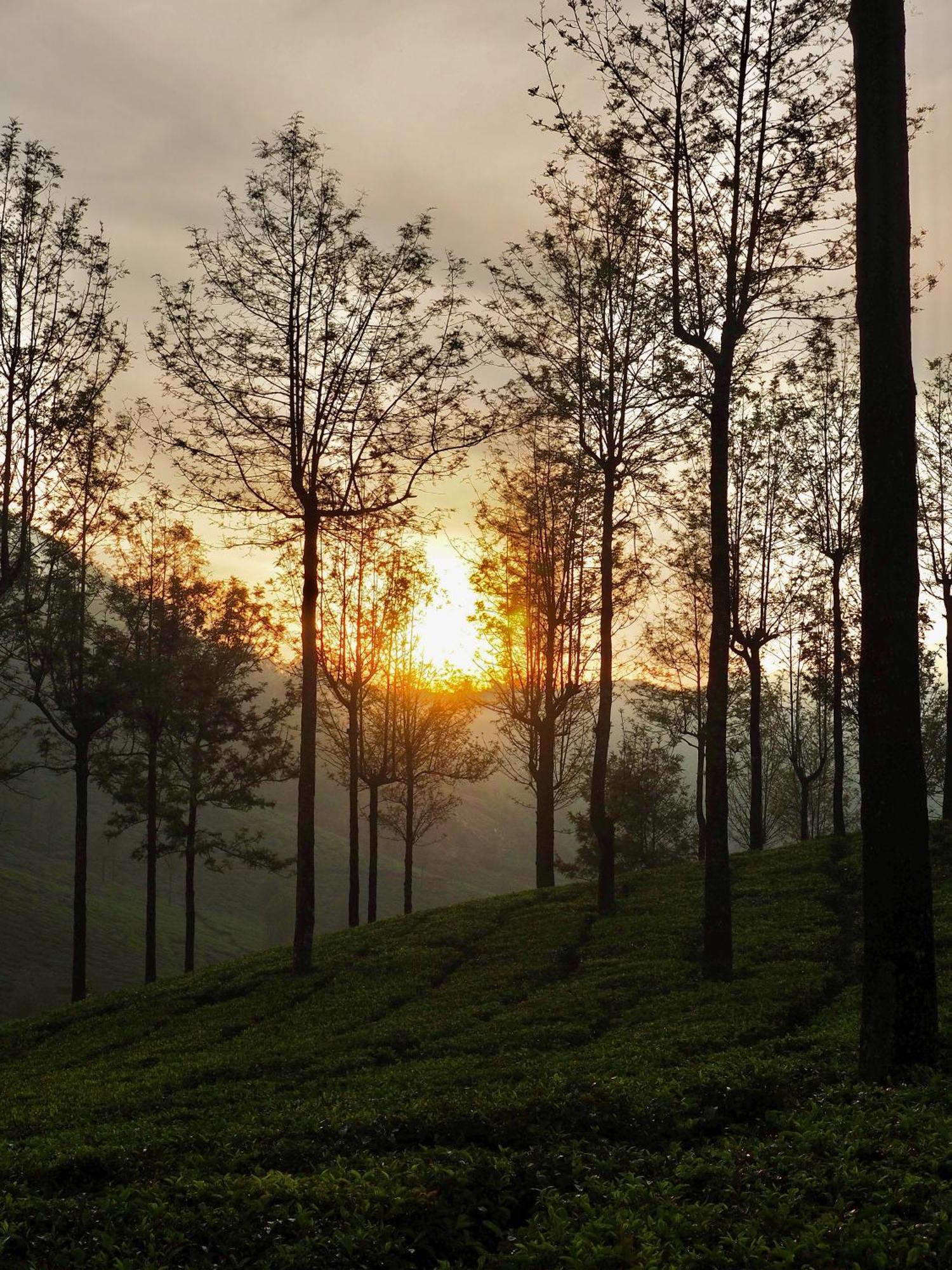 Lockhart Bungalow Munnar - A Cgh Earth Saha Experience 外观 照片