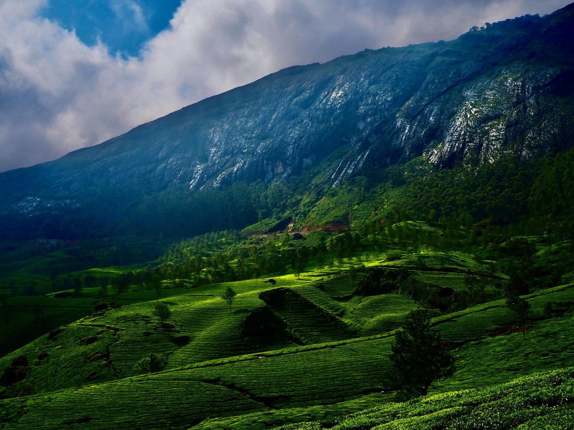 Lockhart Bungalow Munnar - A Cgh Earth Saha Experience 外观 照片